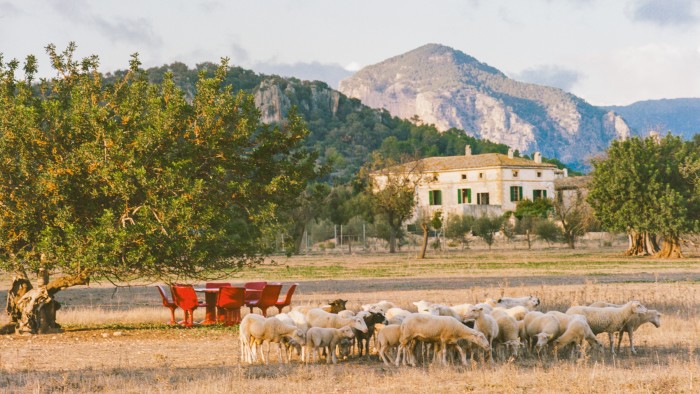 A fantasy finca for a fashion insider – inside Alexandre de Betak’s Mallorcan retreat