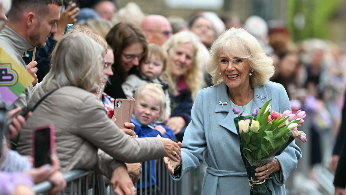 Queen Camilla shares first pic of Moley, her new rescue dog